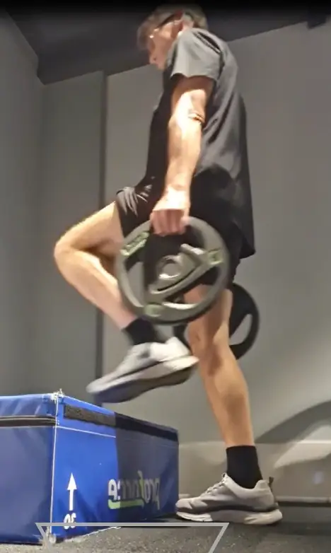 showing the dumbbell steps exercise being pereformed with weight discs instead of dumbbells - a gym exercise for warming up legs
