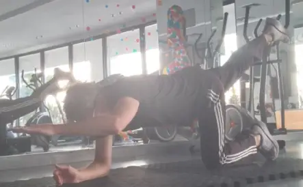 Showing the Bird Dog Pilates exercise - one of my Internediate Pilates Lessons
